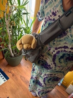 Sling Pet Carrier NEW small
